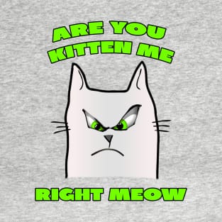 Are You Kitten Me Right Meow T-Shirt